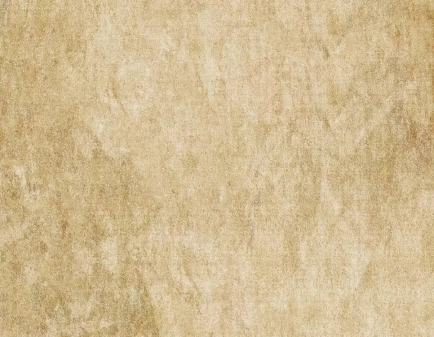 Toasty 8X6 Fleece ( 96 X 72 Inch ) Backdrop