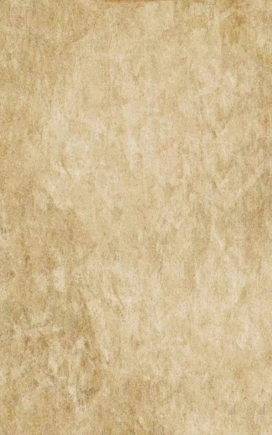 Toasty 9X14 Ultracloth ( 108 X 168 Inch ) Backdrop