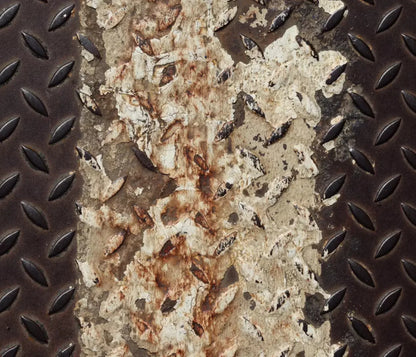 Tread 12X10 Ultracloth ( 144 X 120 Inch ) Backdrop