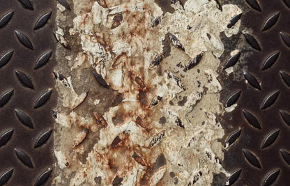 Tread 12X8 Ultracloth ( 144 X 96 Inch ) Backdrop