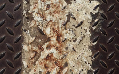 Tread 14X9 Ultracloth ( 168 X 108 Inch ) Backdrop