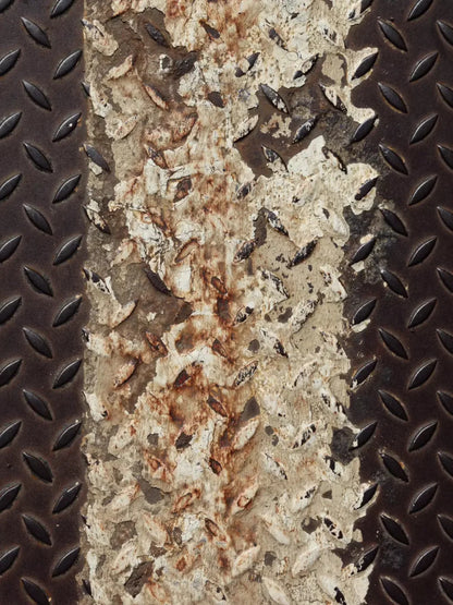 Tread 8X10 Fleece ( 96 X 120 Inch ) Backdrop
