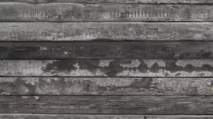 Treadway 14X8 Ultracloth ( 168 X 96 Inch ) Backdrop