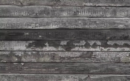 Treadway 14X9 Ultracloth ( 168 X 108 Inch ) Backdrop