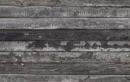 Treadway 16X10 Ultracloth ( 192 X 120 Inch ) Backdrop