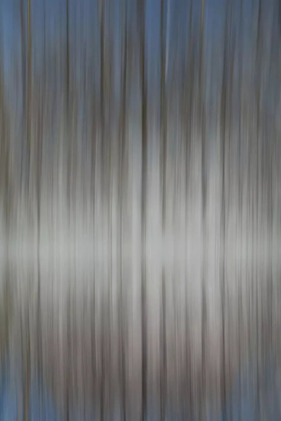 Trees 5X8 Ultracloth ( 60 X 96 Inch ) Backdrop
