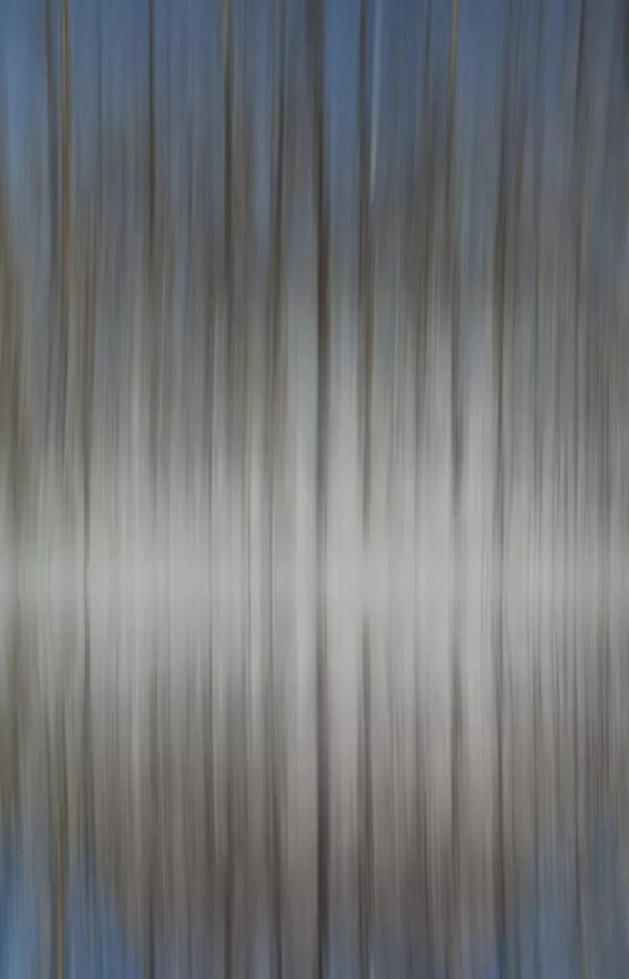 Trees 8X12 Ultracloth ( 96 X 144 Inch ) Backdrop