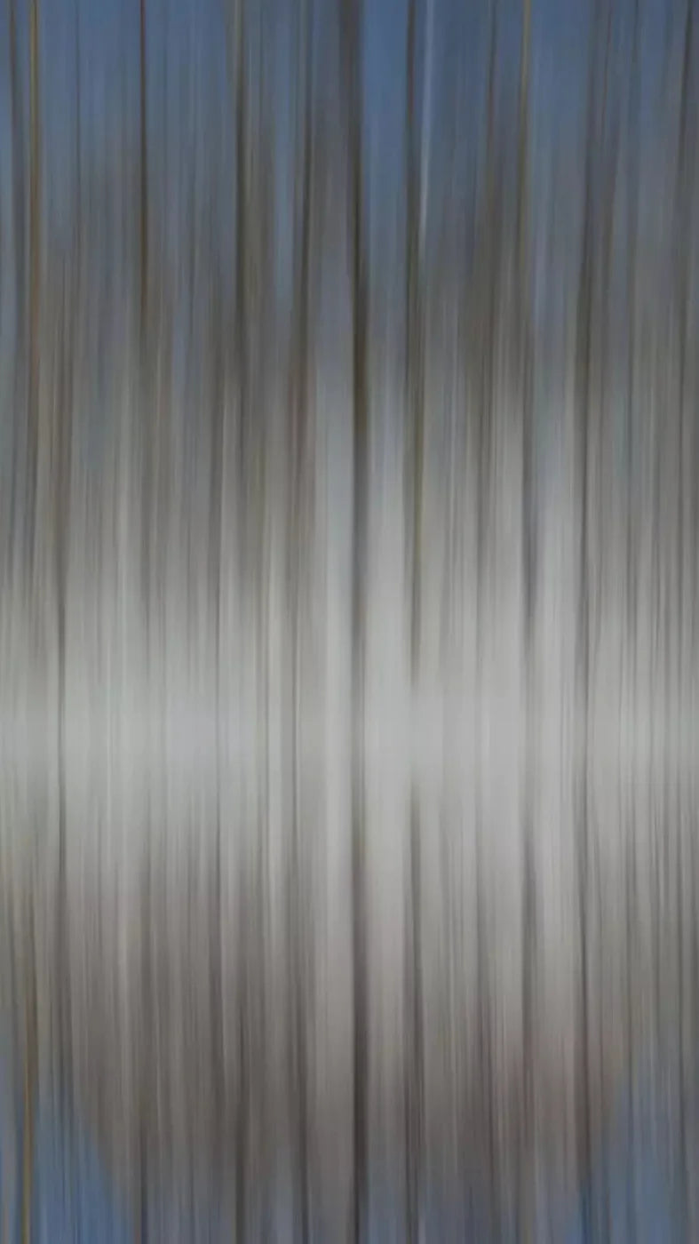 Trees 8X14 Ultracloth ( 96 X 168 Inch ) Backdrop