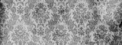 Trendy 20’X8’ Ultracloth (240 X 96 Inch) Backdrop