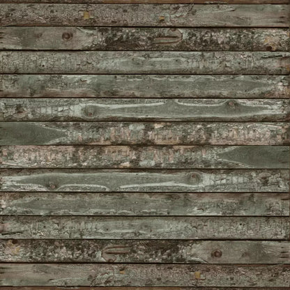 Trever Backdrop