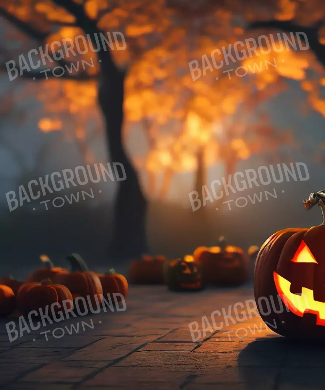 Orange Backdrop for Photography