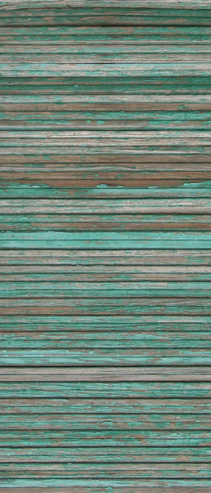 Trouble 5X12 Ultracloth For Westcott X-Drop ( 60 X 144 Inch ) Backdrop