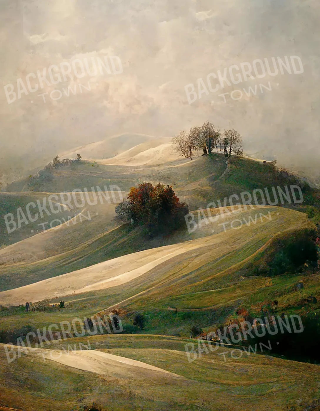 Tuscan Sunrise 6X8 Fleece ( 72 X 96 Inch ) Backdrop