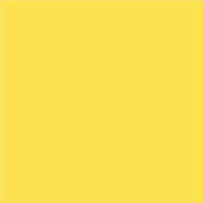 Tweety 10X10 Ultracloth ( 120 X Inch ) Backdrop