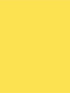 Tweety 5X7 Ultracloth ( 60 X 84 Inch ) Backdrop