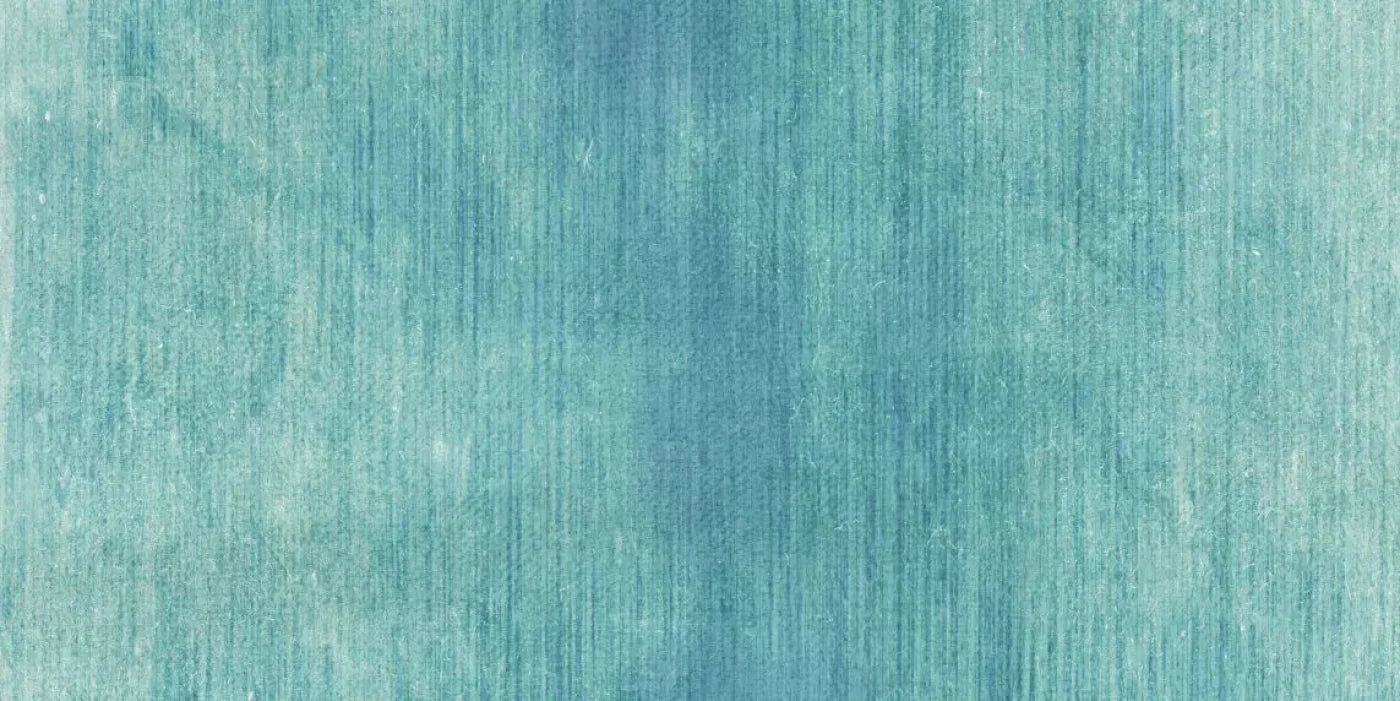 Tyson 20X10 Ultracloth ( 240 X 120 Inch ) Backdrop