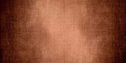 Umber Spot 20X10 Ultracloth ( 240 X 120 Inch ) Backdrop
