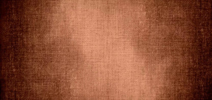 Umber Spot 16X8 Ultracloth ( 192 X 96 Inch ) Backdrop