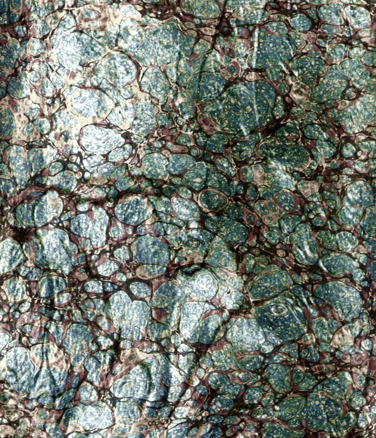 Unrefined 10X12 Ultracloth ( 120 X 144 Inch ) Backdrop