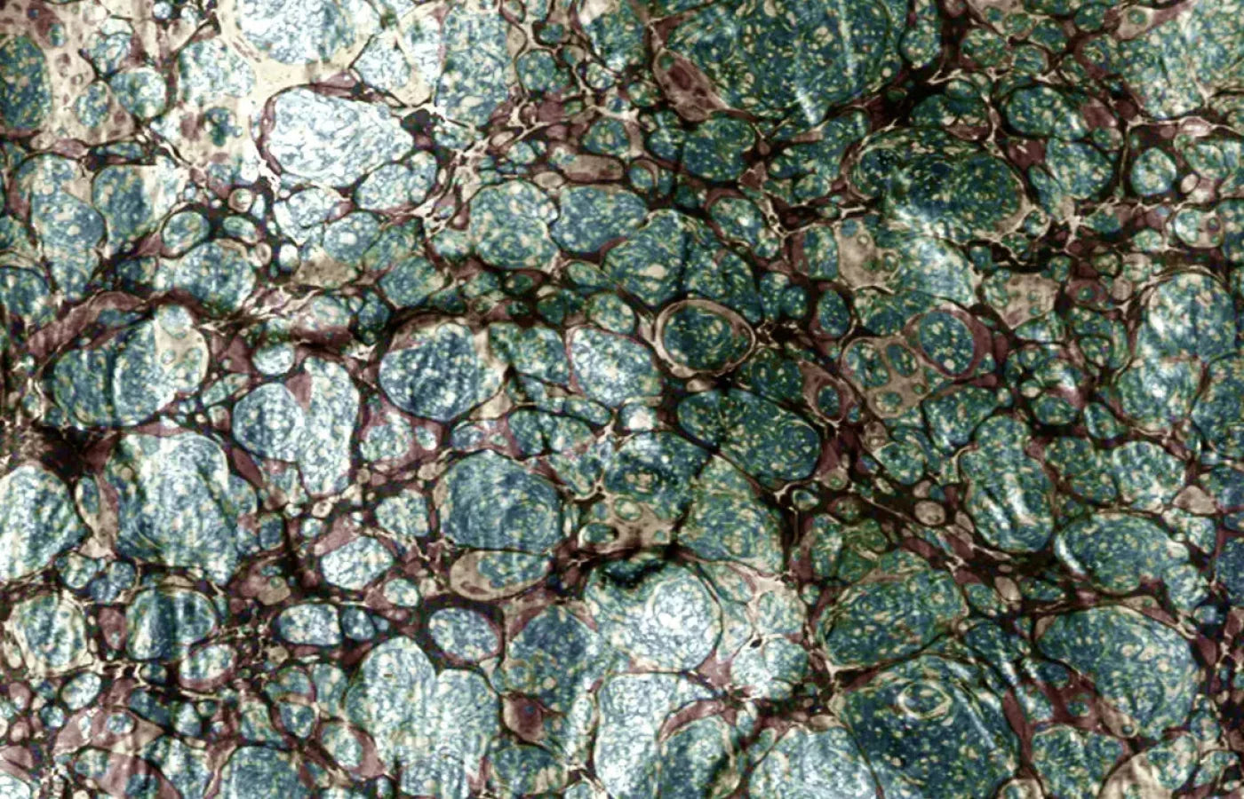 Unrefined 12X8 Ultracloth ( 144 X 96 Inch ) Backdrop