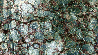 Unrefined 14X8 Ultracloth ( 168 X 96 Inch ) Backdrop