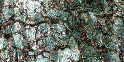 Unrefined 20X10 Ultracloth ( 240 X 120 Inch ) Backdrop