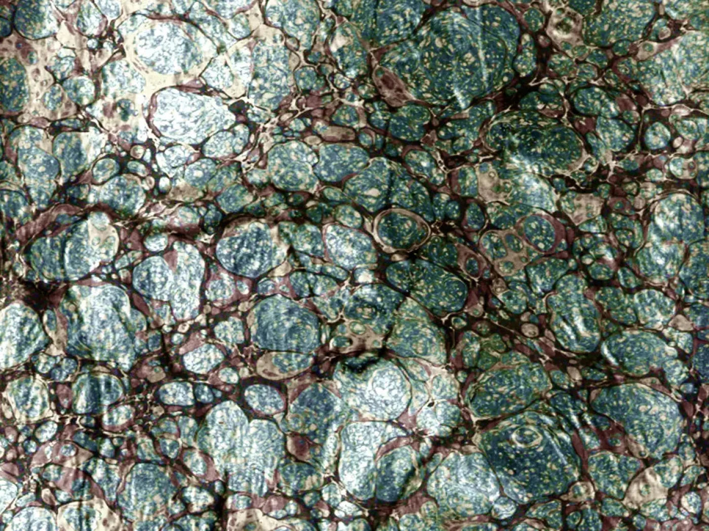 Unrefined 68X5 Fleece ( 80 X 60 Inch ) Backdrop