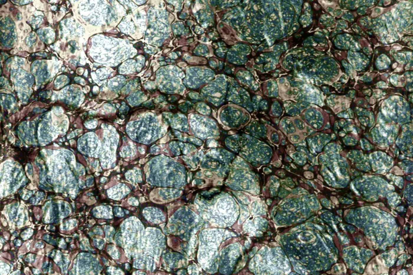 Unrefined 8X5 Ultracloth ( 96 X 60 Inch ) Backdrop