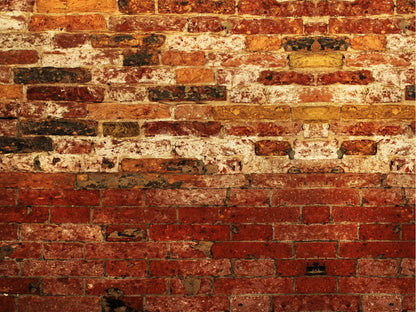 Up Against The Wall 68X5 Fleece ( 80 X 60 Inch ) Backdrop