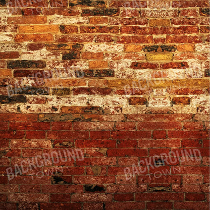 Up Against The Wall 8X8 Fleece ( 96 X Inch ) Backdrop