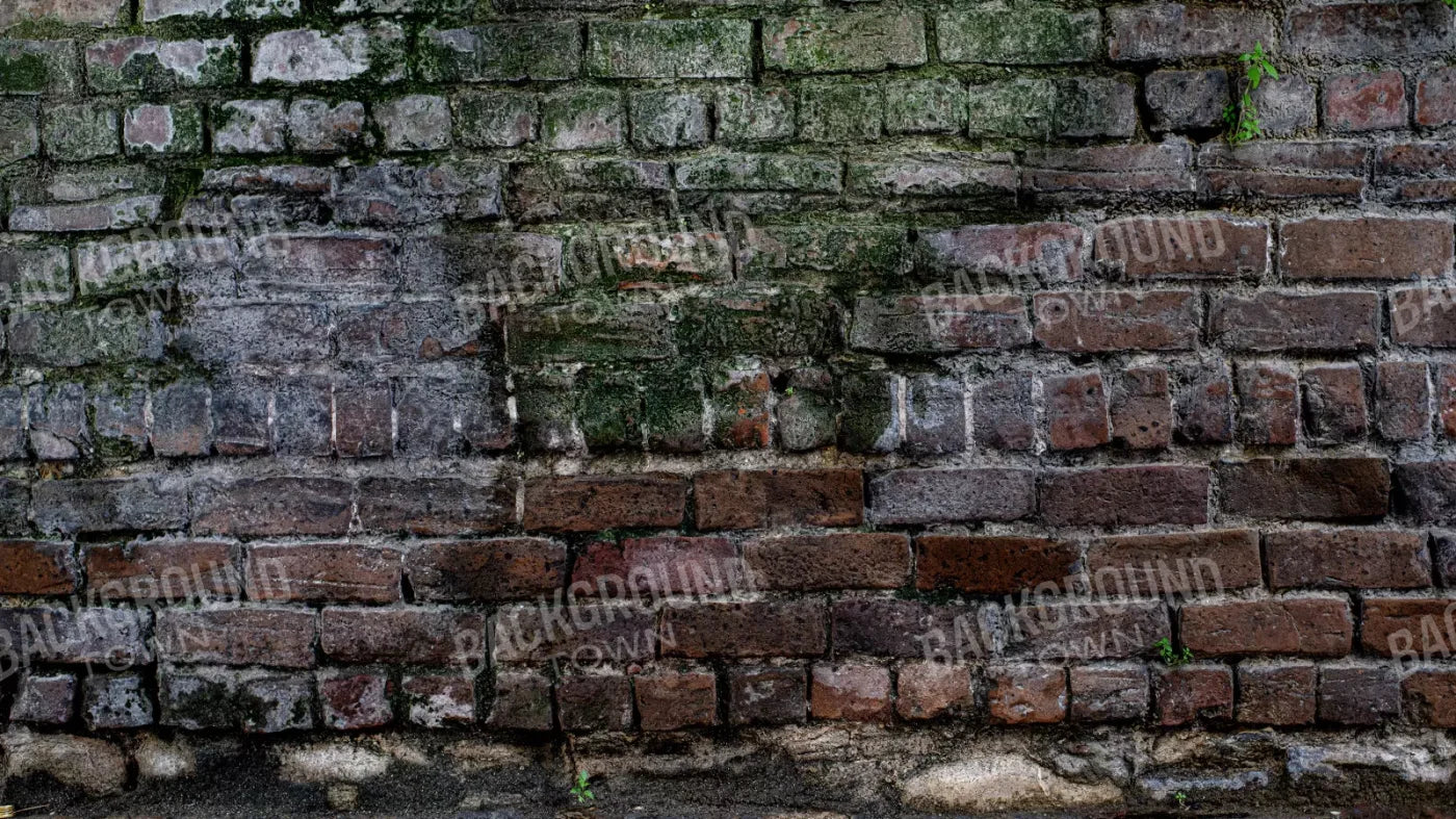 Urban Brick 14X8 Ultracloth ( 168 X 96 Inch ) Backdrop