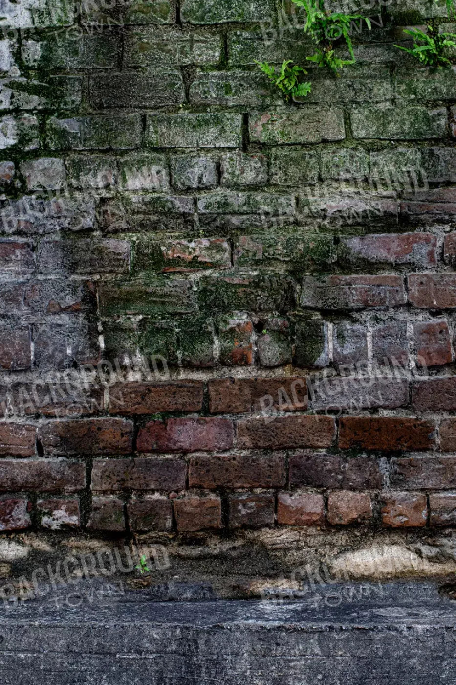 Urban Brick 5X8 Ultracloth ( 60 X 96 Inch ) Backdrop