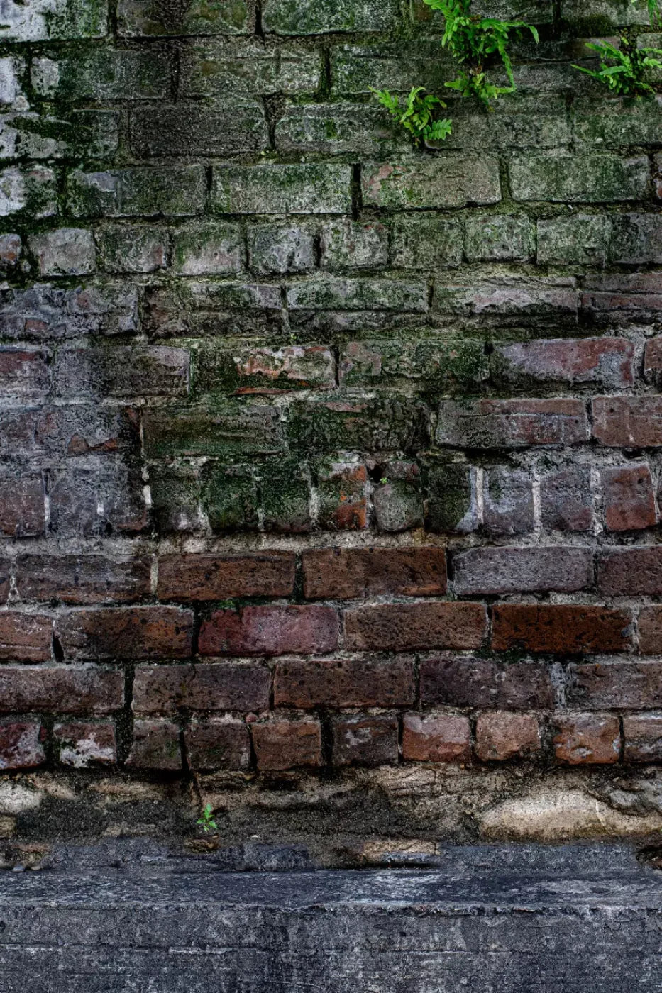 Urban Brick 5X8 Ultracloth ( 60 X 96 Inch ) Backdrop