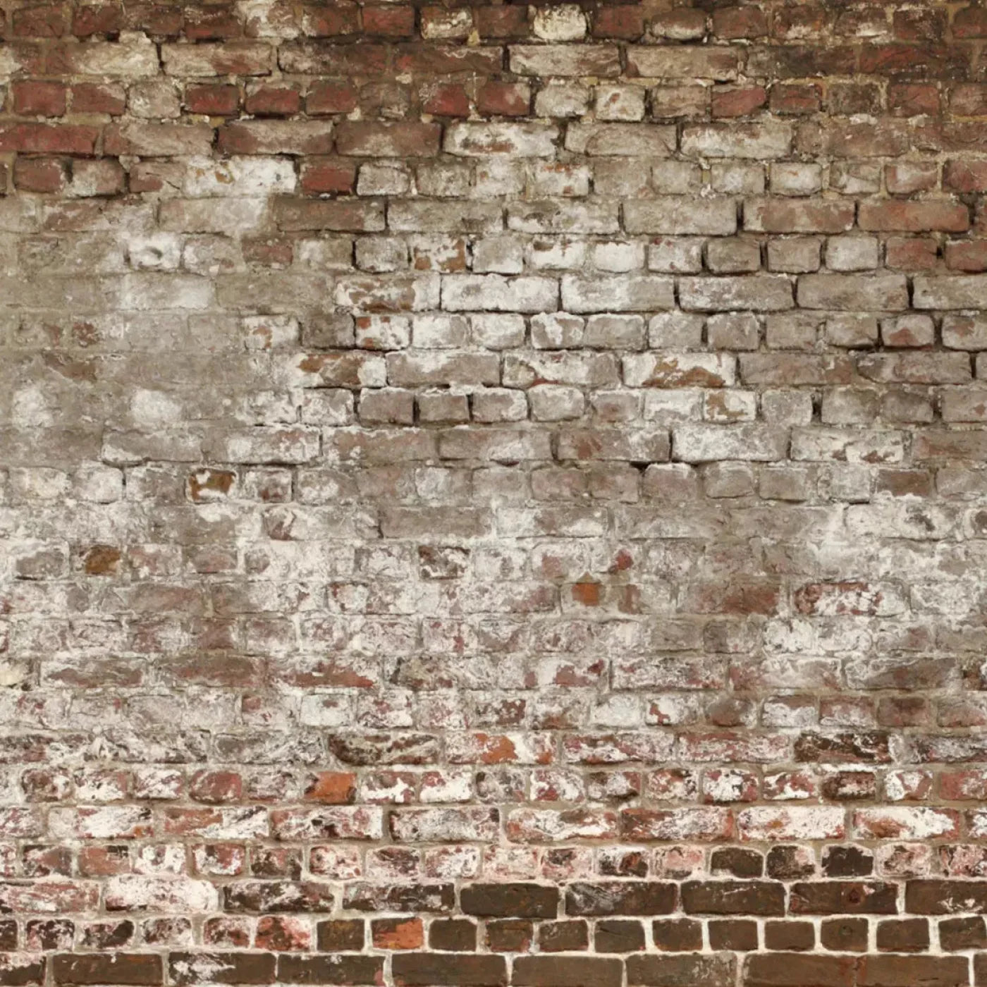 Urban Decay 10X10 Ultracloth ( 120 X Inch ) Backdrop