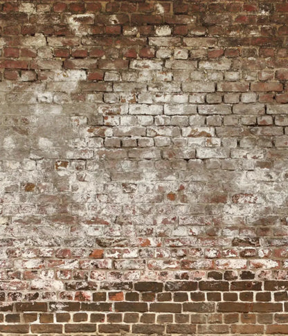 Urban Decay 10X12 Ultracloth ( 120 X 144 Inch ) Backdrop