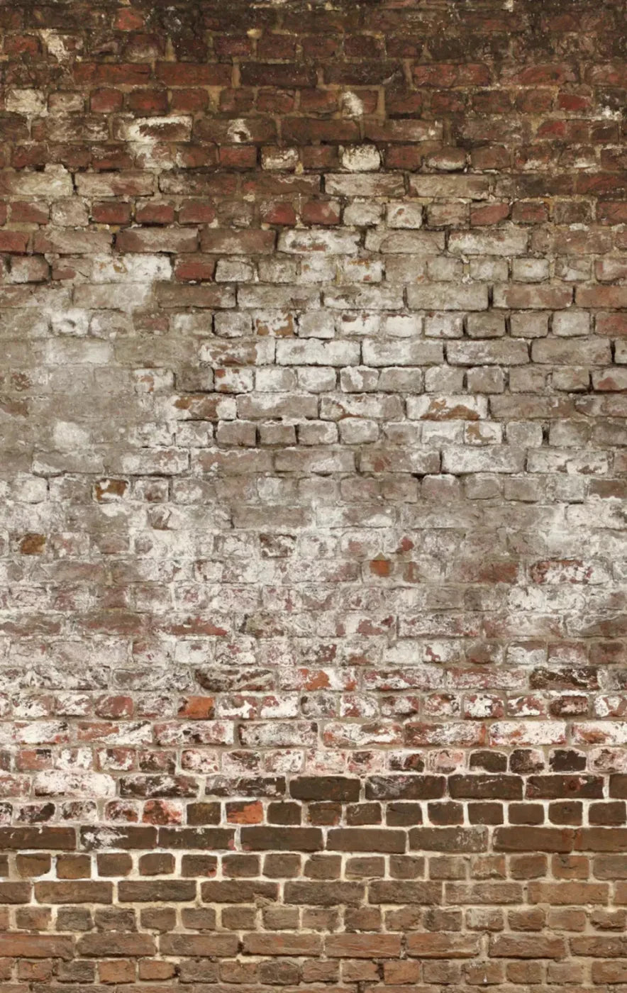 Urban Decay 10X16 Ultracloth ( 120 X 192 Inch ) Backdrop