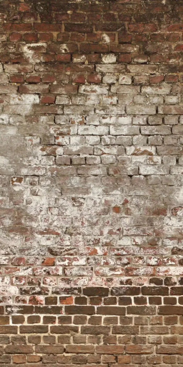 Urban Decay 10X20 Ultracloth ( 120 X 240 Inch ) Backdrop