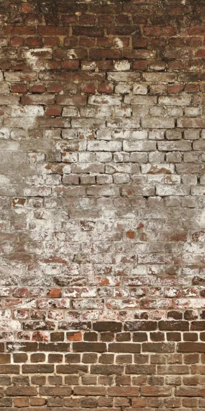 Urban Decay 10X20 Ultracloth ( 120 X 240 Inch ) Backdrop