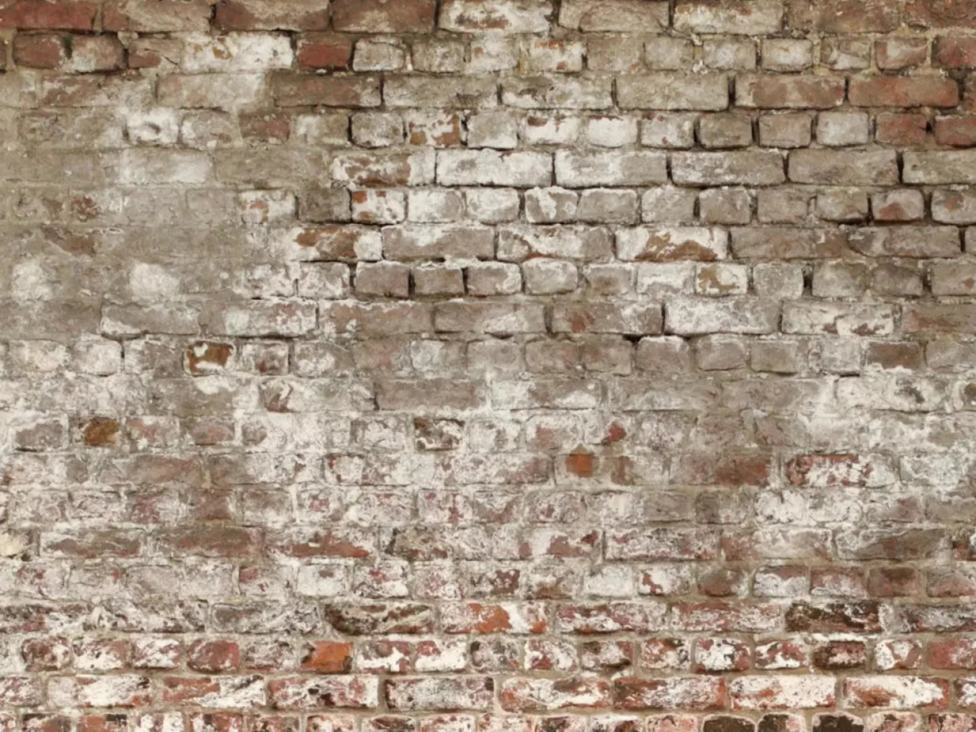 Urban Decay 10X8 Fleece ( 120 X 96 Inch ) Backdrop