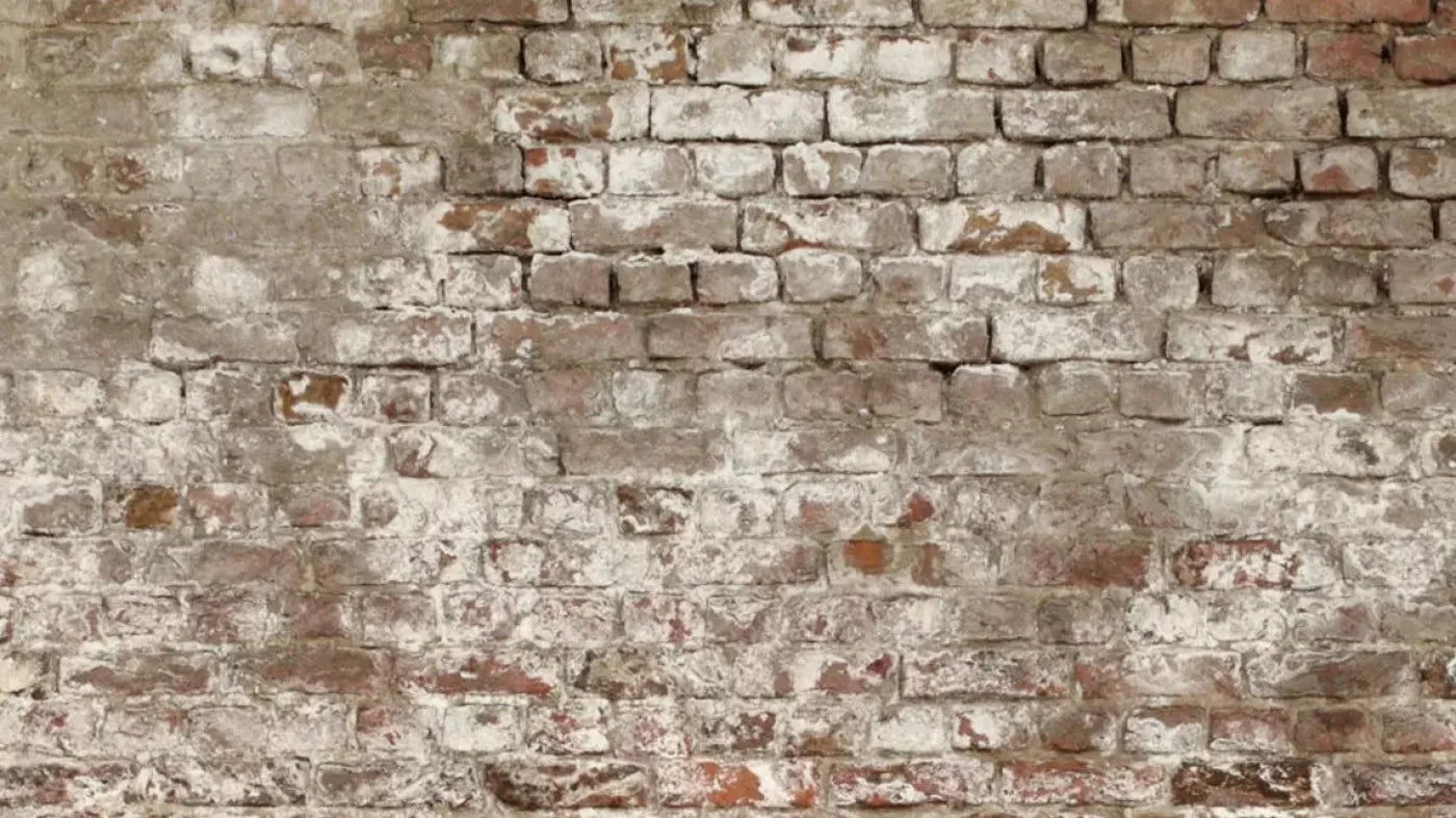 Urban Decay 14X8 Ultracloth ( 168 X 96 Inch ) Backdrop