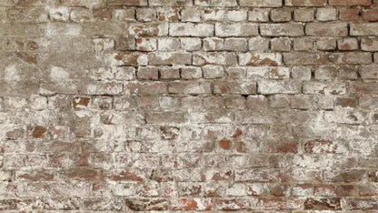 Urban Decay 14X8 Ultracloth ( 168 X 96 Inch ) Backdrop