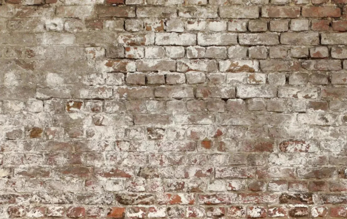 Urban Decay 16X10 Ultracloth ( 192 X 120 Inch ) Backdrop