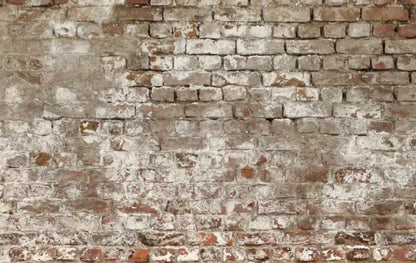 Urban Decay 16X10 Ultracloth ( 192 X 120 Inch ) Backdrop
