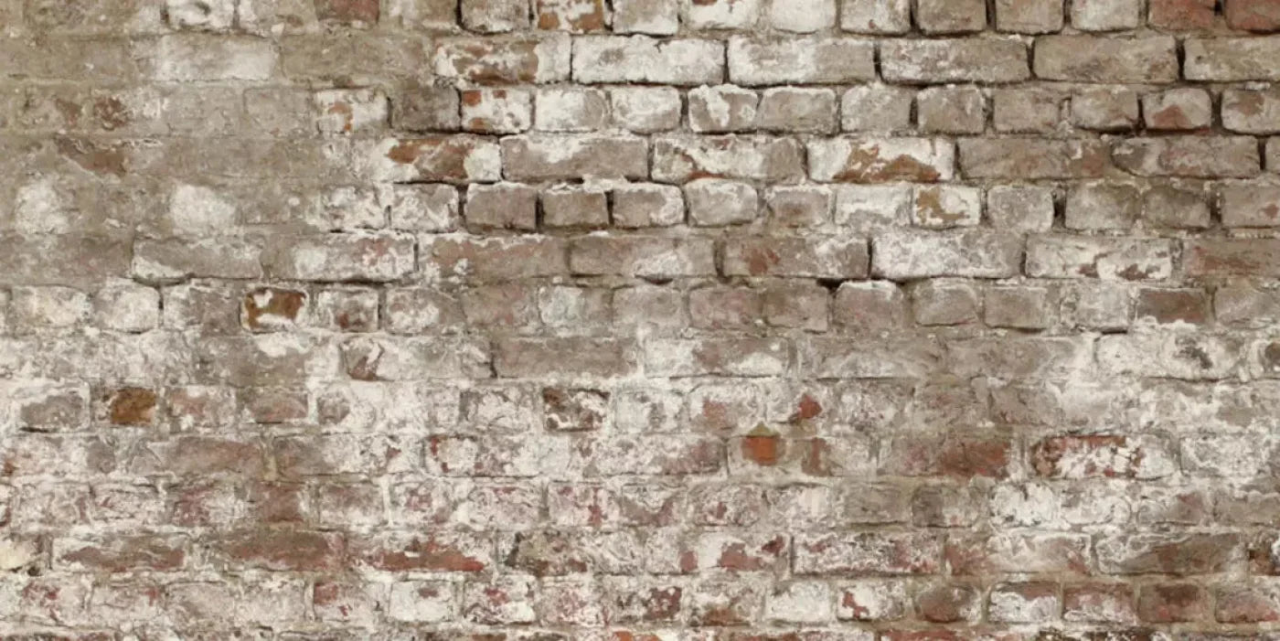 Urban Decay 20X10 Ultracloth ( 240 X 120 Inch ) Backdrop