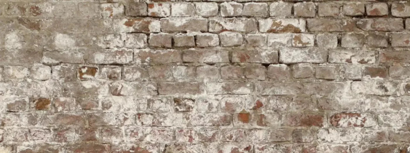 Urban Decay 20X8 Ultracloth ( 240 X 96 Inch ) Backdrop