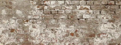 Urban Decay 20X8 Ultracloth ( 240 X 96 Inch ) Backdrop