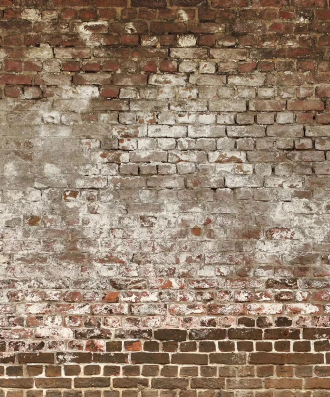 Beige Brick and Stone Backdrop for Photography