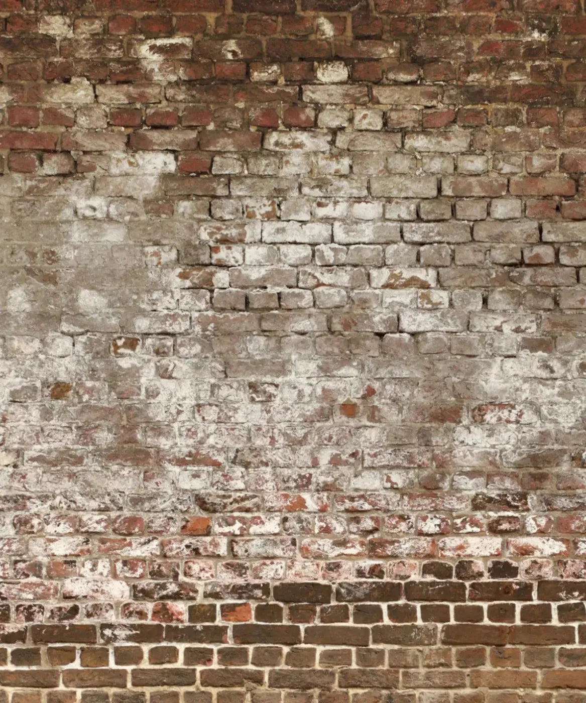 Beige Brick and Stone Backdrop for Photography