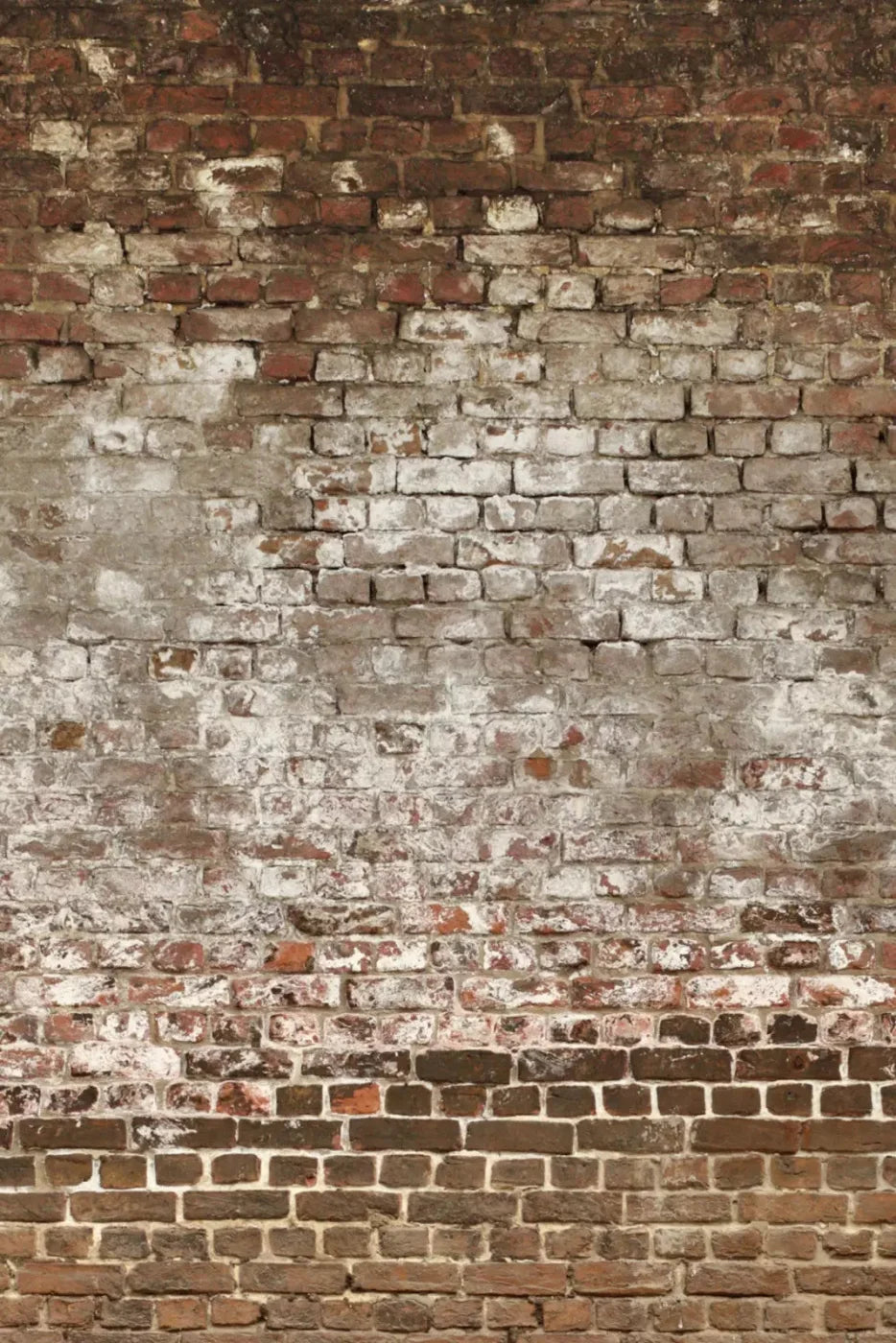 Urban Decay 5X8 Ultracloth ( 60 X 96 Inch ) Backdrop