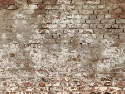 Urban Decay 7X5 Ultracloth ( 84 X 60 Inch ) Backdrop